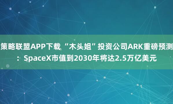 策略联盟APP下载 “木头姐”投资公司ARK重磅预测:SpaceX市值到2030年将达2.5万亿美元