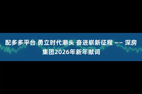 配多多平台 勇立时代潮头 奋进崭新征程 —— 深房集团2026年新年献词
