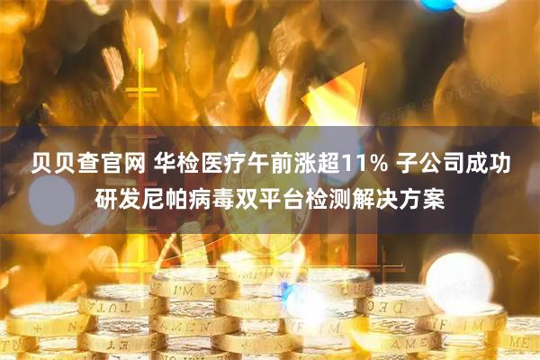 贝贝查官网 华检医疗午前涨超11% 子公司成功研发尼帕病毒双平台检测解决方案
