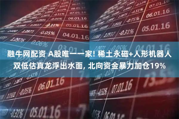 融牛网配资 A股唯一一家! 稀土永磁+人形机器人双低估真龙浮出水面, 北向资金暴力加仓19%